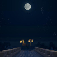 [Wallpaper] Jour 301 : Pont dans la nuit